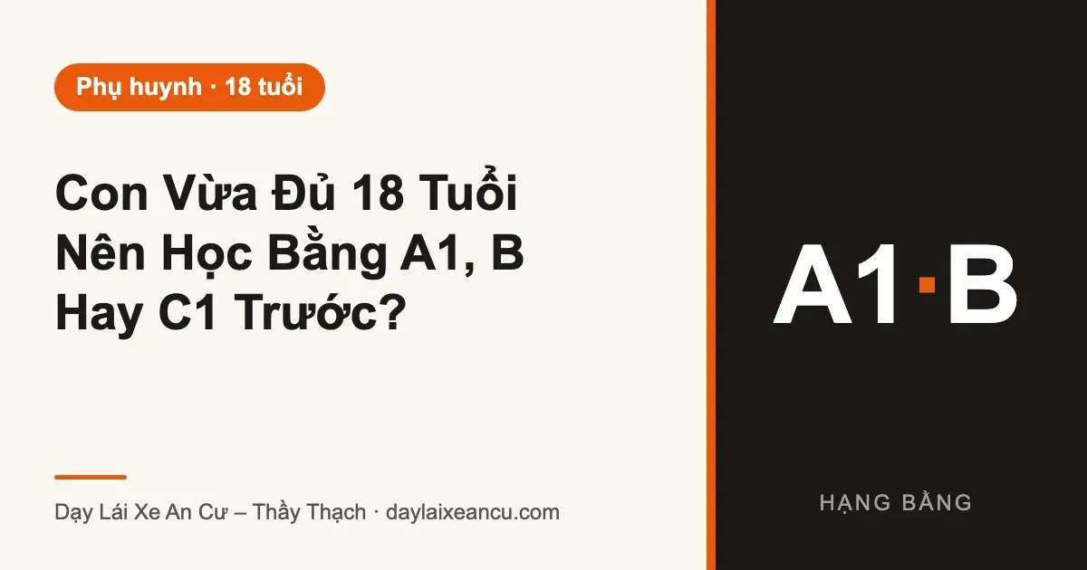 Con Vừa Đủ 18 Tuổi Nên Học Bằng A1, B Hay C1 Trước?