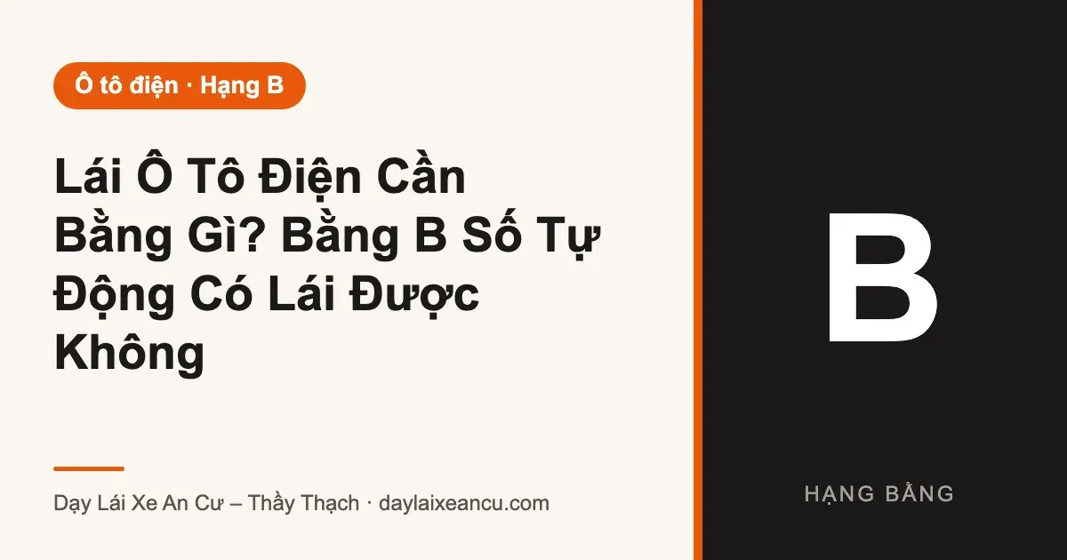 Lái Ô Tô Điện Cần Bằng Gì? Bằng B Số Tự Động Có Lái Được Không