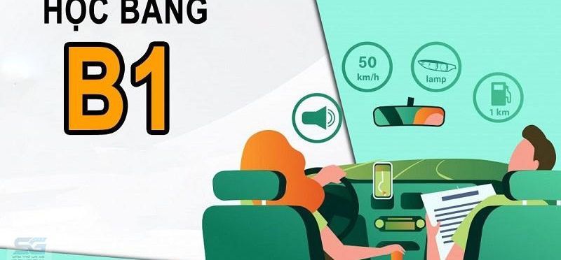 Học Bằng B Số Tự Động (B1 Cũ) 2026: Có Nên Học, Lái Được Xe Gì