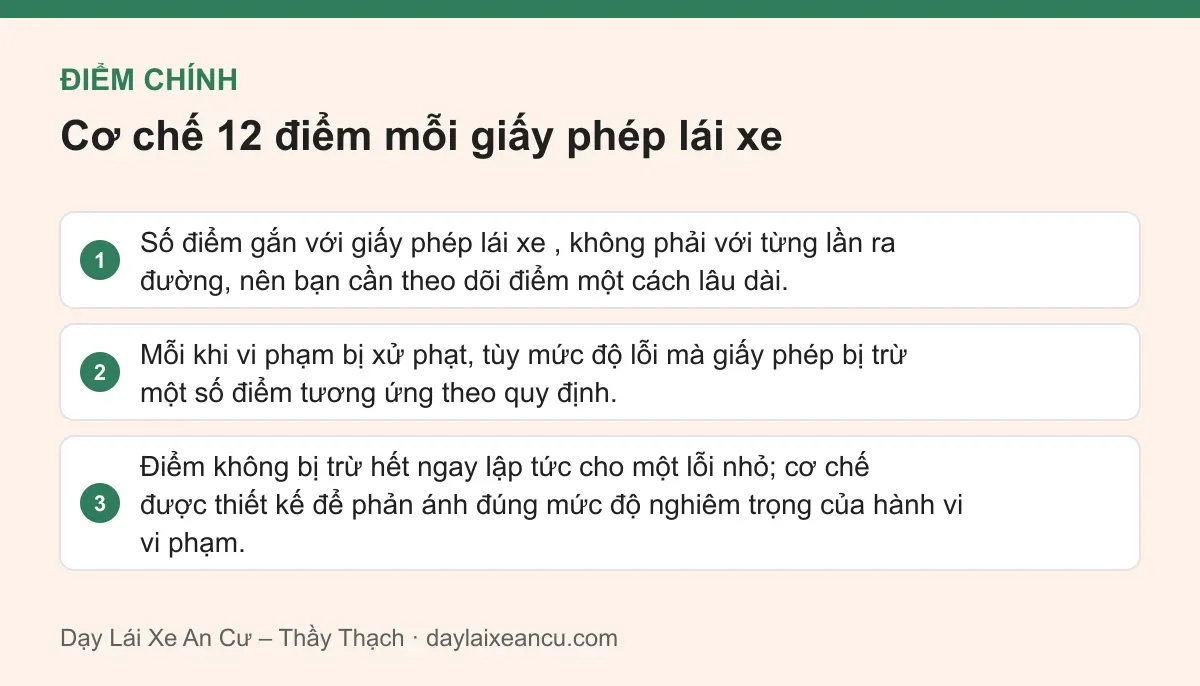 Điểm chính: Cơ chế 12 điểm mỗi giấy phép lái xe